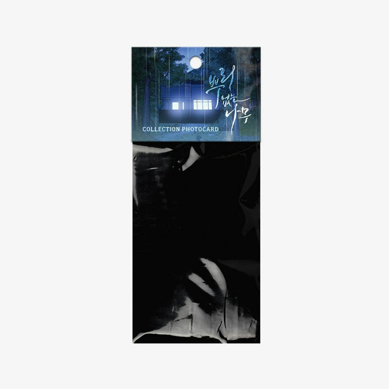 A Tree Without Roots - Collection Photocards Ver 2