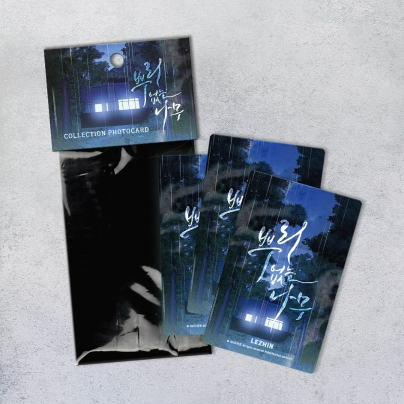 A Tree Without Roots - Collection Photocards Ver 2