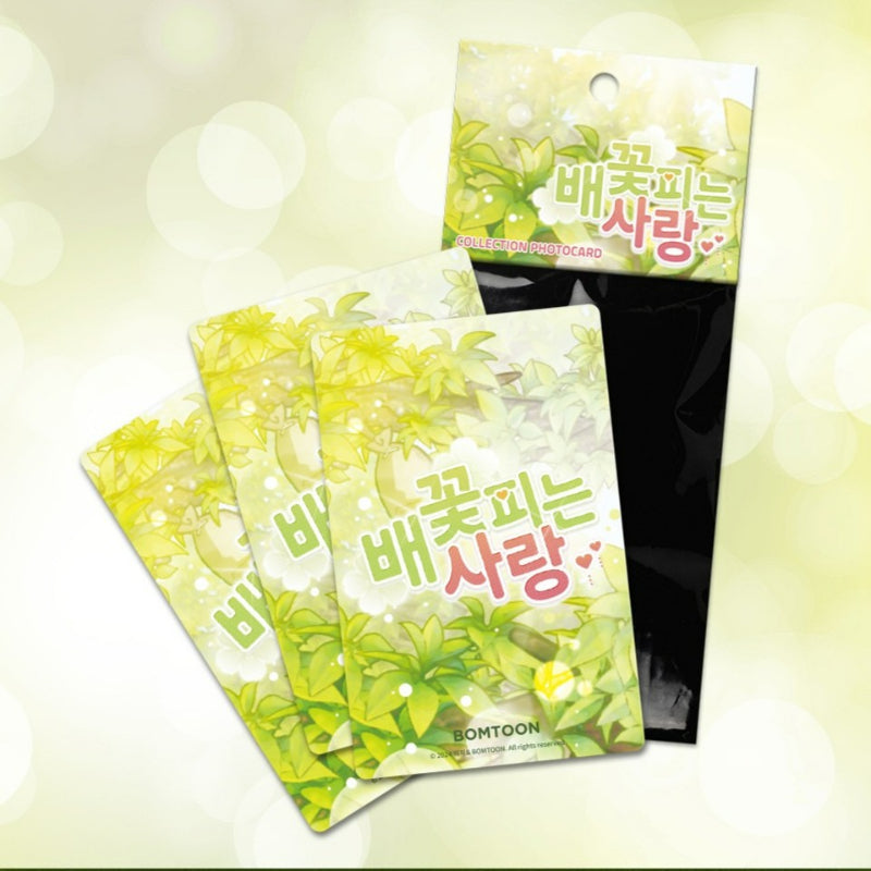 When Pear Blossoms Bloom - Collection Photocards