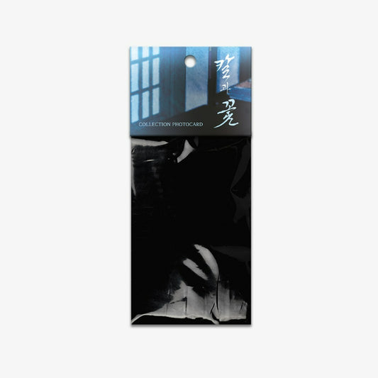 Steel Under Silk - Collection Photocards