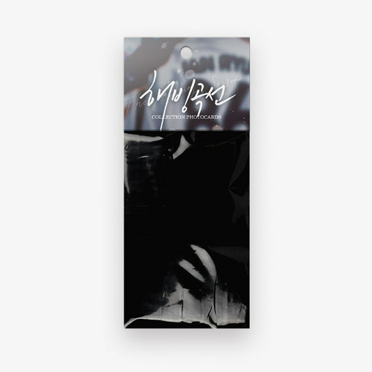 Melting Point - Collection Photocards