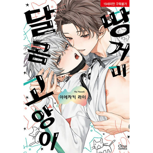 Twilight Sugar Cat - Manhwa