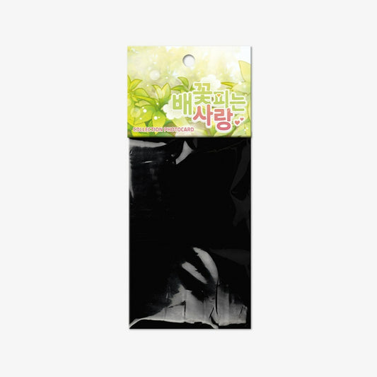 When Pear Blossoms Bloom - Collection Photocards