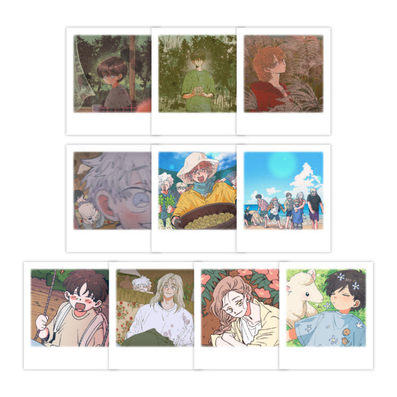 Dam of the Forest - Polaroid Set